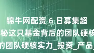 锦牛网配资 6 日募集超 50 亿！揭秘这只基金背后的团队硬核实力_投资_产品_策略