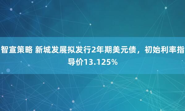 智宣策略 新城发展拟发行2年期美元债，初始利率指导价13.125%