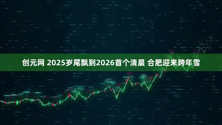 创元网 2025岁尾飘到2026首个清晨 合肥迎来跨年雪
